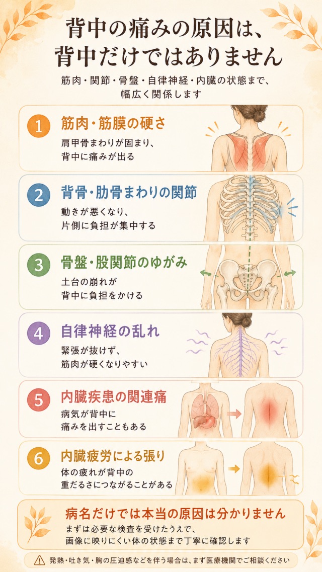 背中の痛みの原因を示す図解。筋肉・関節・骨盤・自律神経・内臓疾患・内臓疲労の6カテゴリ｜はるぞら整体院 大府市